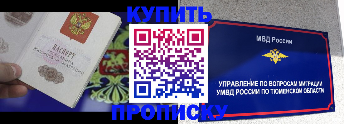 прописка 2025 в Алексине